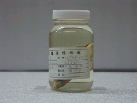 藏品(黑鯛)的圖片